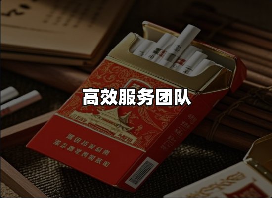 专业优势